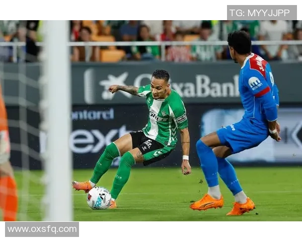 马竞后卫阿尔德韦雷尔德受伤，将缺席西甲关键战役